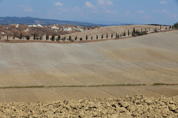 Crete Senesi - The landscape of the Tuscany - Фото, изображение