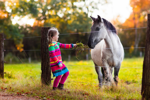 Little girl feeding a horse - Φωτογραφία, εικόνα