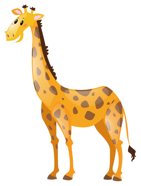 Giraffe with long neck - Vector, Image
