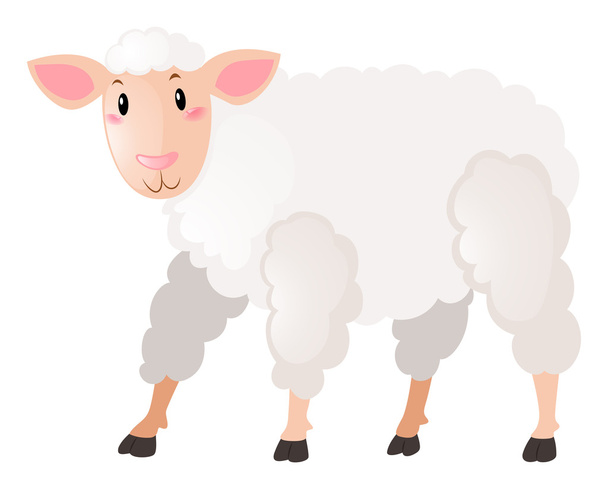 weiße Schafe auf weißem Hintergrund - Vektor, Bild