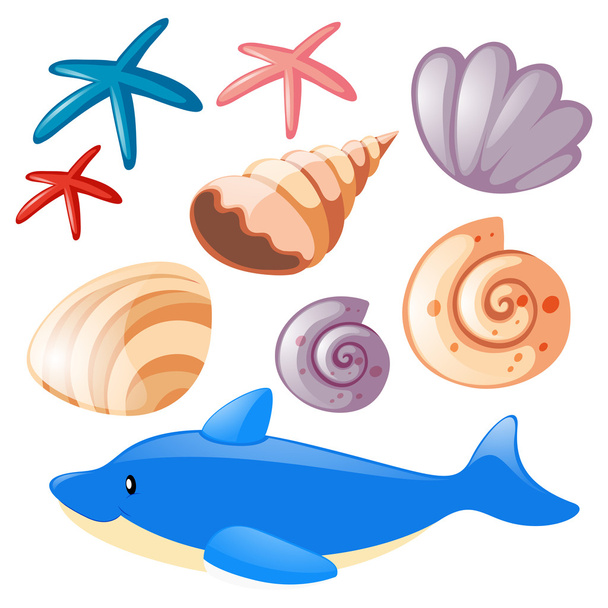 Ocean set with starfish and shells - Vector, Image
