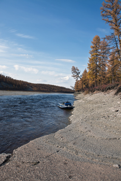 Човен на березі річки Тайга Сибірський - Фото, зображення