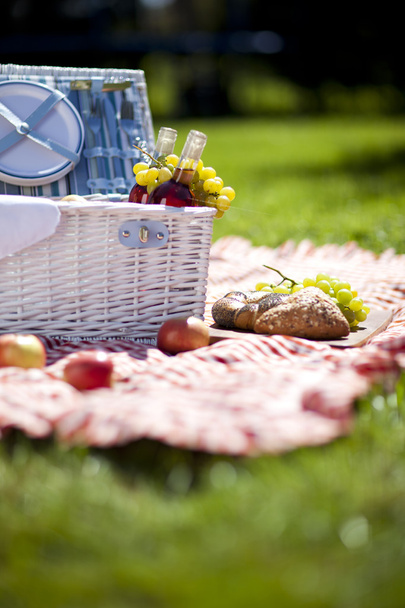 Tempo di picnic
! - Foto, immagini