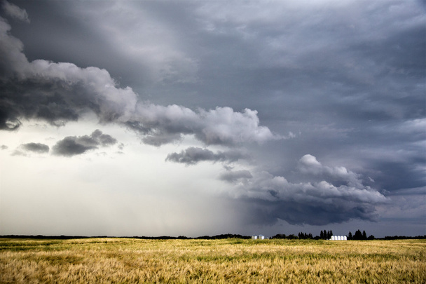 Sturmwolken saskatchewan - Foto, Bild