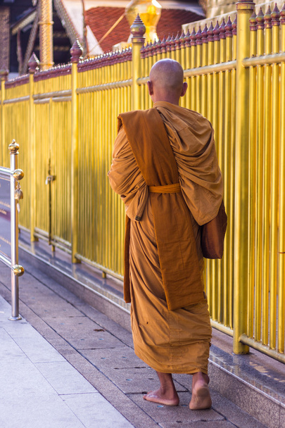 タイの僧侶の散歩 - 写真・画像