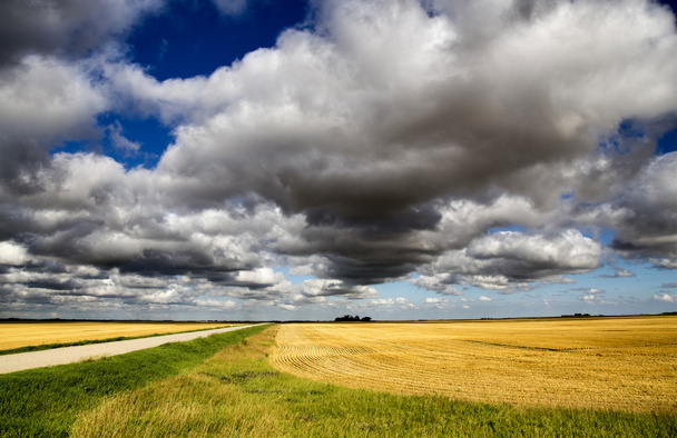 σύννεφα saskatchewan - Φωτογραφία, εικόνα
