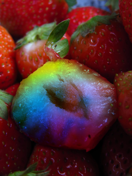 Genetically Modified Strawberry - Photo, Image