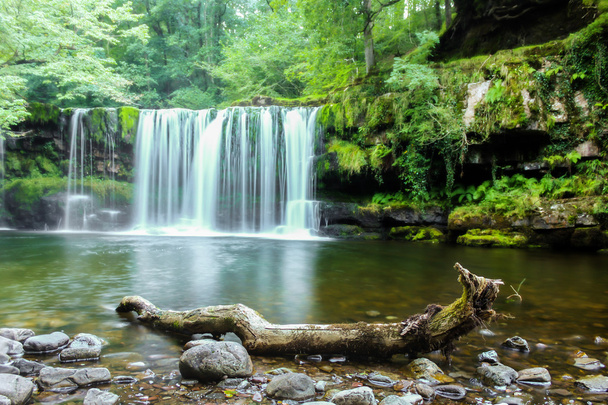 cascade forestière sur une rivière de montagne au Pays de Galles, Royaume-Uni, Angleterre
 - Photo, image