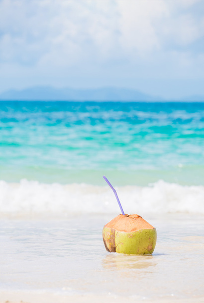 Świeży kokos koktajl na tropikalnej plaży - Zdjęcie, obraz