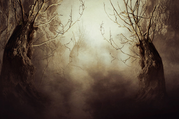 Árbol espeluznante en niebla nocturna
 - Foto, Imagen
