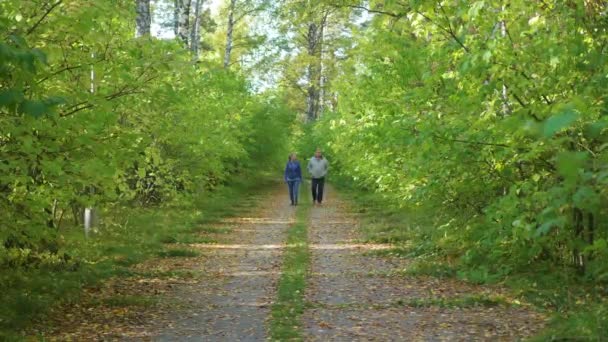 Πατέρας και κόρη περπάτημα στο μονοπάτι στο πάρκο - Πλάνα, βίντεο