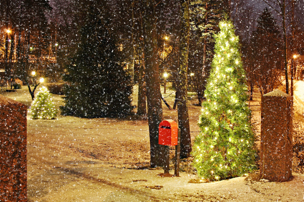 Рождественская елка с огнями - Фото, изображение