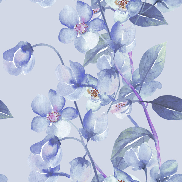 Seamless watercolor flowers of rosemary on a colored background  - Photo, image