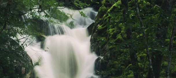 Knyvet Falls em Cradle Mountain
 - Foto, Imagem