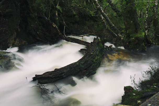 Knyvet vodopády v Cradle Mountain - Fotografie, Obrázek