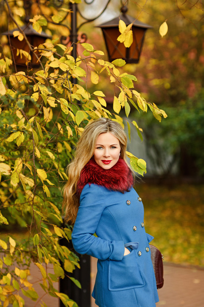 Luxury blonde girl with beautiful hair in a blue coat in the aut - Φωτογραφία, εικόνα