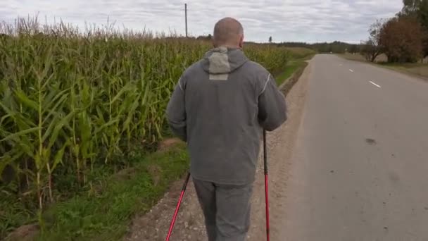 Wandelaar met wandelstokken weglopen in de buurt van maïsveld  - Video