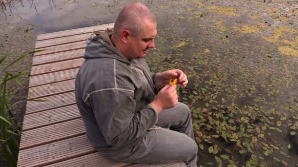 Mann zieht Blütenblätter aus Blume - Filmmaterial, Video