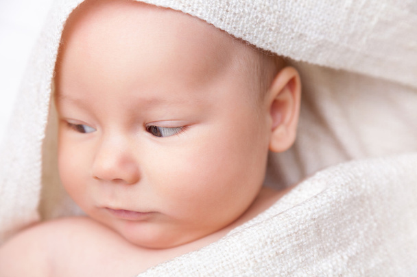 Hermoso recién nacido envuelto en una manta
 - Foto, imagen