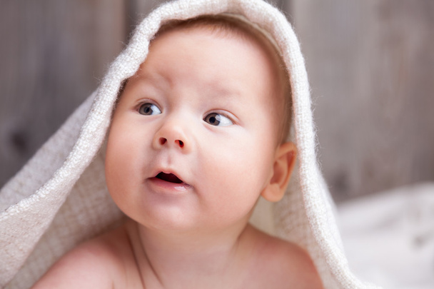 Прекрасный новорожденный, завернутый в одеяло
 - Фото, изображение