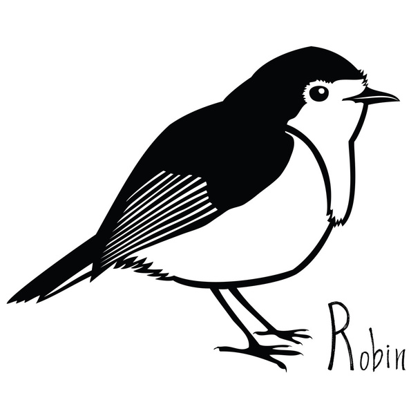 Birds collection Robin Black and white vector - Wektor, obraz