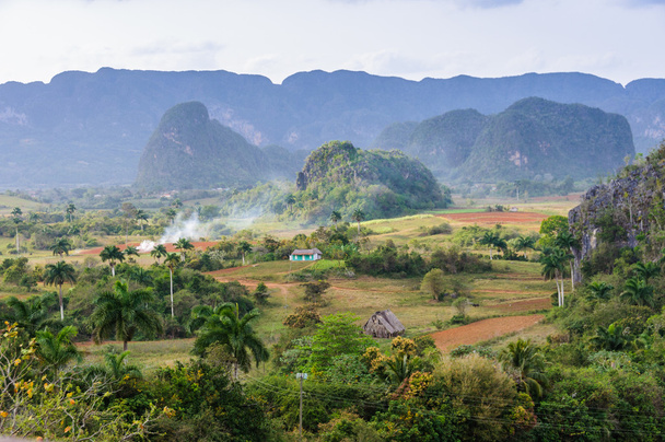 Panoramic view in Vinales Valley, Cuba - Photo, Image