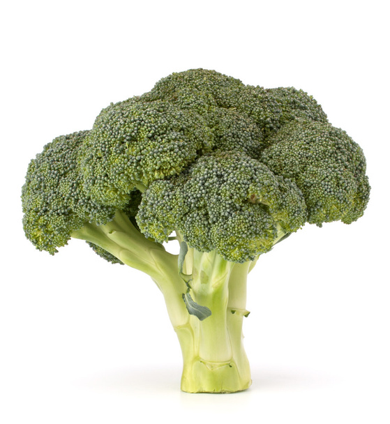 Broccoli vegetable - Zdjęcie, obraz