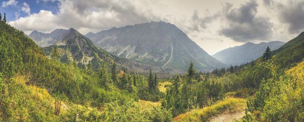 Summer mountain panorama.  - Foto, Bild