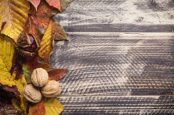 fall autumn thanksgiving concept background - Photo, Image