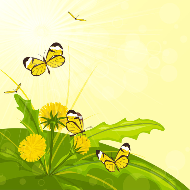 Квітка і метелики
 - Вектор, зображення