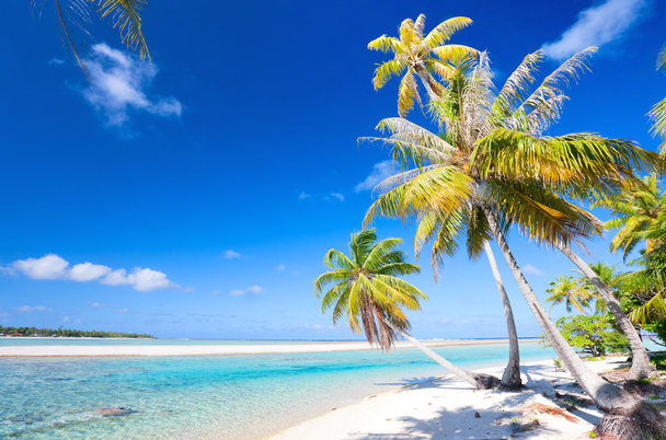 Stunning tropical beach - Photo, Image