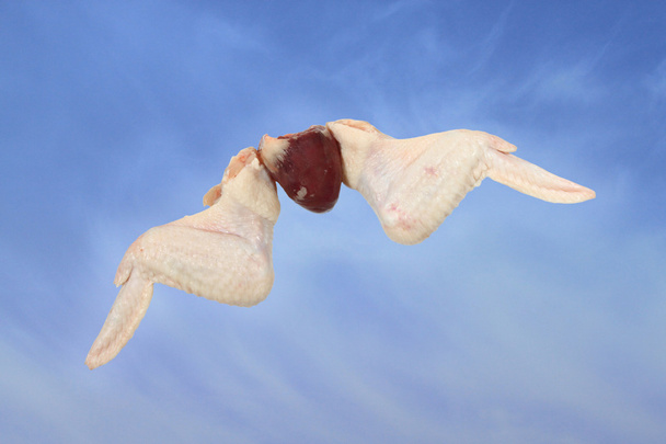 Куриные крылья и сердце
 - Фото, изображение