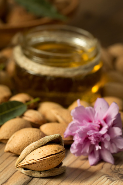Almond oil and almonds - Photo, Image