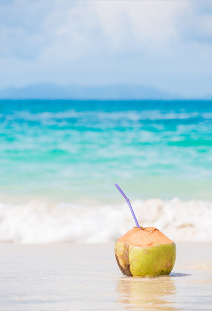 fresh coconut cocktail on tropical beach - Photo, Image