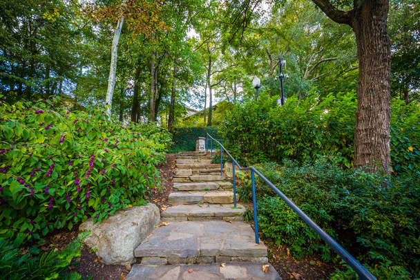Garden and stairs at the Falls Park on the Reedy, in Greenville, - Foto, Bild