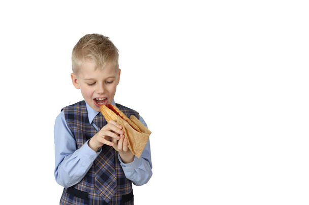 Poika hotdogin kanssa
 - Valokuva, kuva