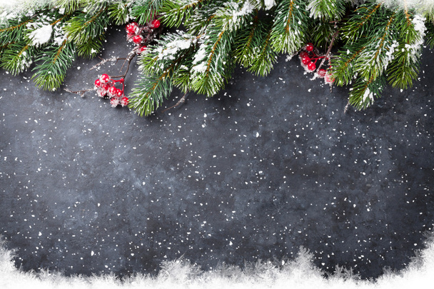 Christmas texture with snow fir tree - 写真・画像
