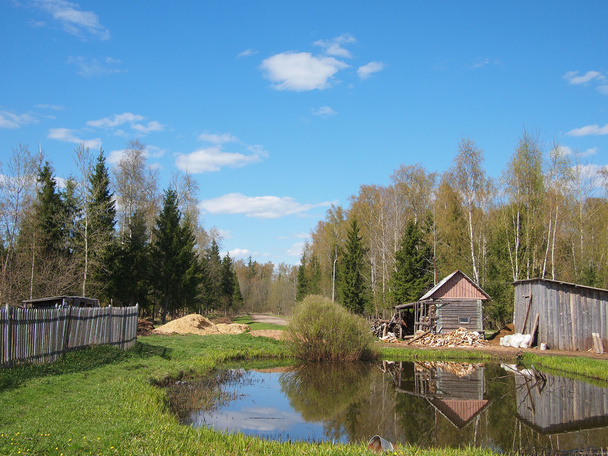 Beautiful rural landscape with a pond - Zdjęcie, obraz