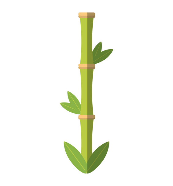 bamboe plant spa geïsoleerde pictogram - Vector, afbeelding
