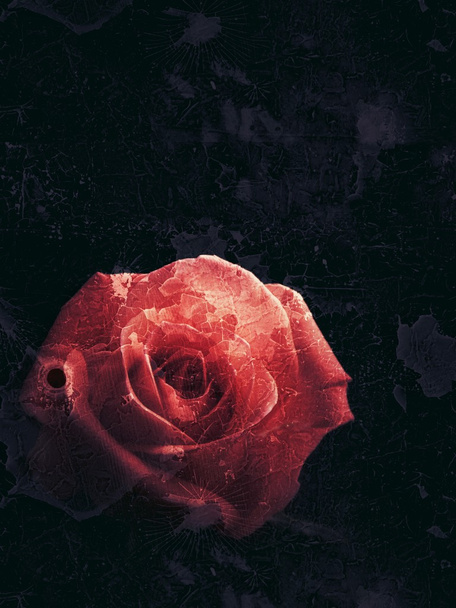 Mooie roze bloem op vintage achtergrond - Foto, afbeelding