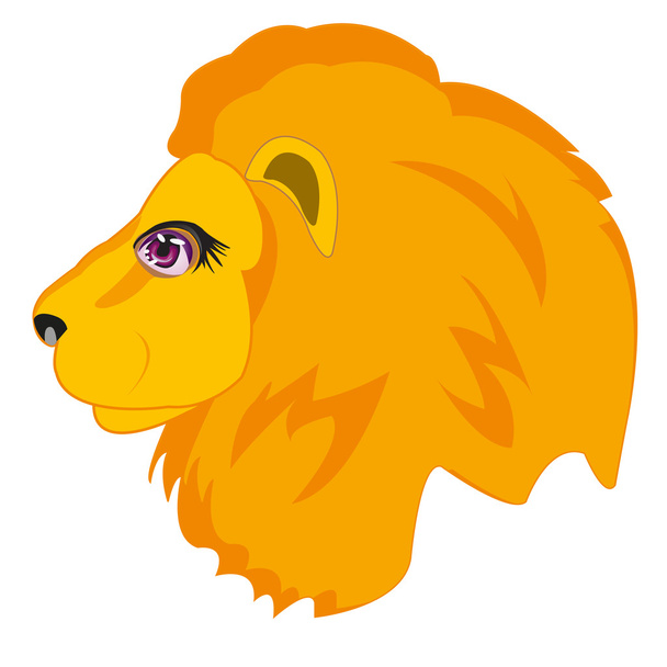 Head animal lion - Vector, Image