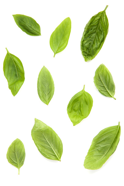 Fresh sweet basil leaves isolated on white background. Sweet bas - Фото, изображение