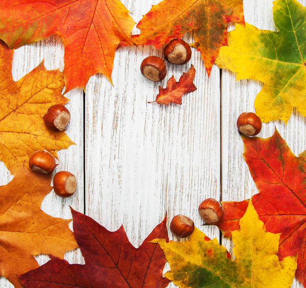 Colorful autumn leaves and hazelnuts - Photo, image