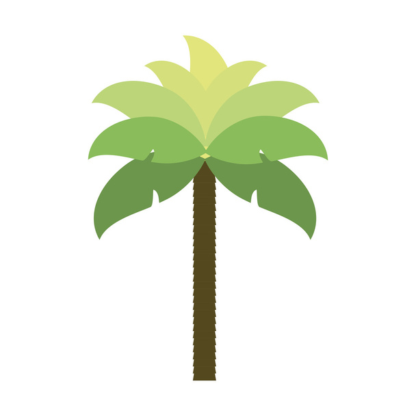 palm tropical tree isolated icon - Διάνυσμα, εικόνα