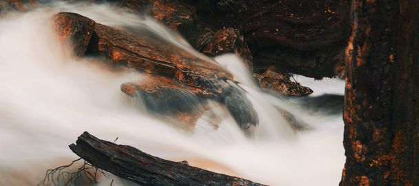 Cradle Mountain Falls'ta Knyvet - Fotoğraf, Görsel