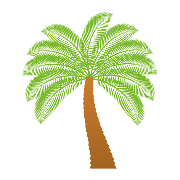 palm tropical tree isolated icon - ベクター画像
