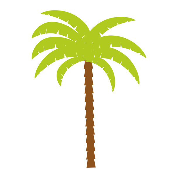 palm tropical tree isolated icon - Διάνυσμα, εικόνα