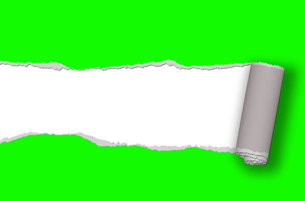Kağıt - sökük yeşil kağıt metin veya resim için yer ile sökük - Fotoğraf, Görsel