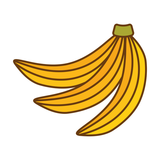 banana tropical fruit icon - Вектор,изображение