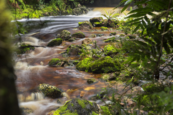 Newell Creek en Tasmania
 - Foto, Imagen